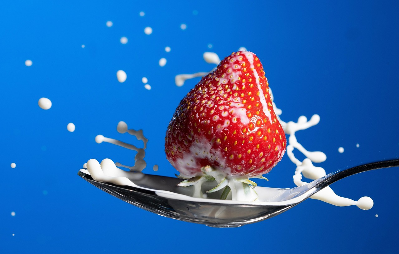 갤러리 이미지 4